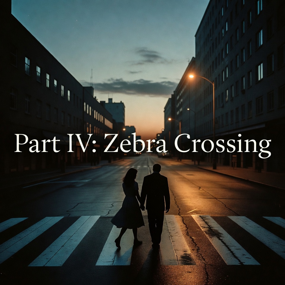 Part IV｜斑馬線